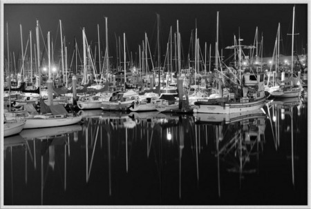 "Monterey Harbor Noir"