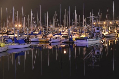 Monterey harbor night