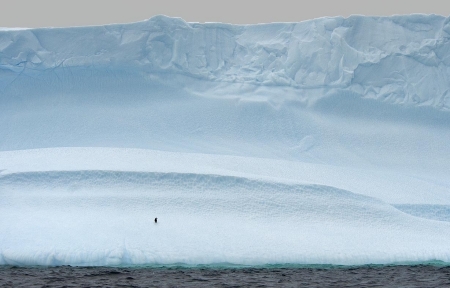 "The Lonely One" Antarctica