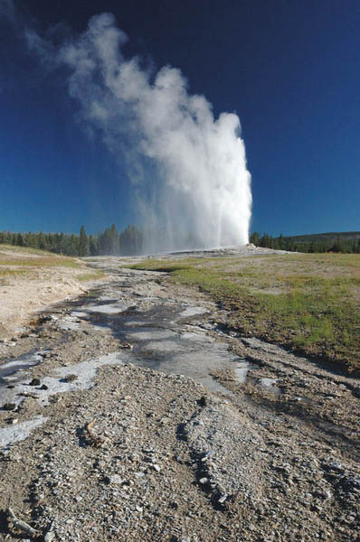 Old Faithful, Yellowstone