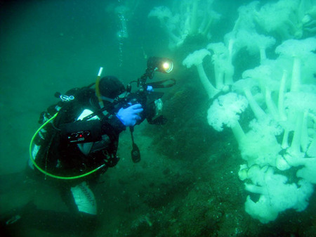 Still diving after all these years, Monterey Bay