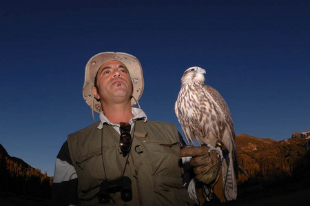 Jeff Diaz, Ronin Air Falconry Service