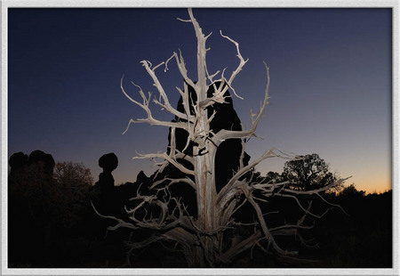 "Tree, stone & sky"