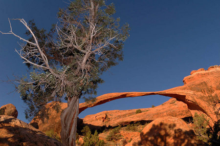 Landscape Arch, Arches National Park