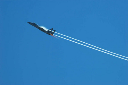 F-15 in flight