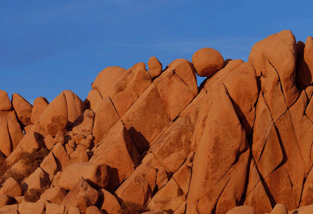 Joshua Tree National Park