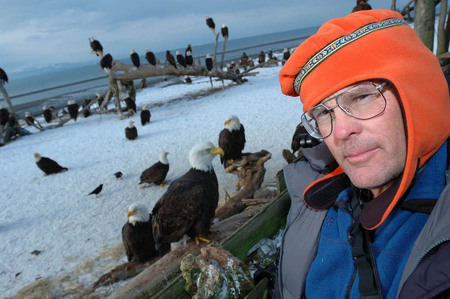 Count your fingers! The great bald eagle feeding, Homer Alaska