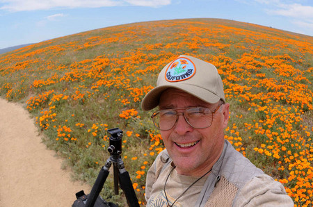 A golden day in Antelope Valley