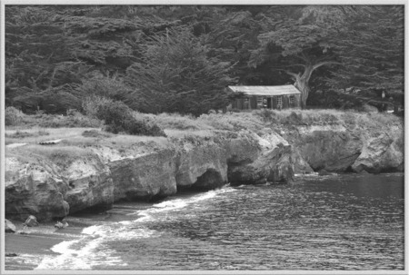 Whalers Cove" B&W