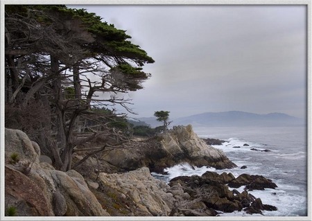 "A stormy day at Cypress Point"