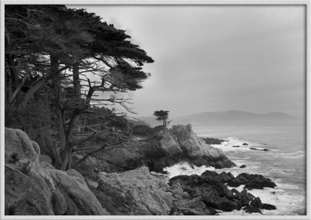 "A stormy day at Cypress Point" B&W
