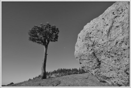 "Tree, rock and moon"