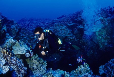 Divers exiting the Lost Arch