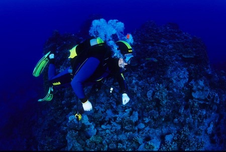 The clearest, bluest water in the world
