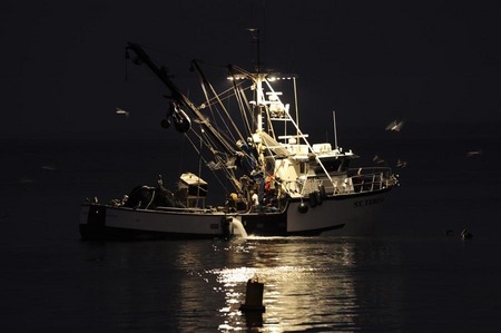 Deckhand, Monterey harbor