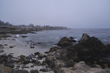 Pacific Grove Beach