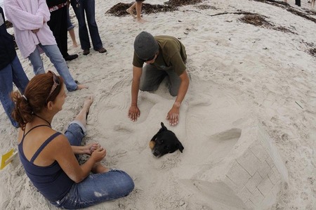 Sandcastle contest, Carmel Beach