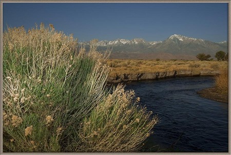 "Spring in the Owen Valley"