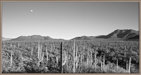 "Arizona Sundown"