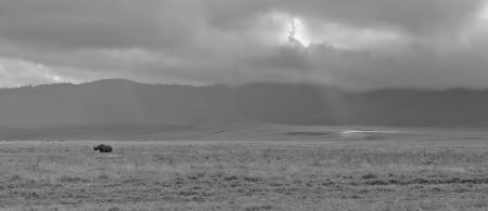 Morning on the Ngorongoro, Tanzania