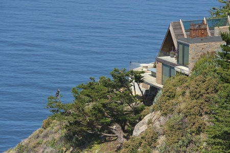 California condor and house